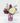 Hermosa Violeta, Regalo de Flores para el día de la madre, Arreglo de flores, envía flores por Doral Roses Miami
