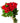 Rosas Rojas 24 unidades