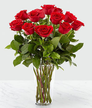 12 unidades de Rosas Rojas En Jarron, disponibles para entrega en nuestra tienda de Doral Roses Miami, Florida o a Delivery con un cargo adicional en Miami, FL. Floristería Doral