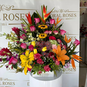 Exclusive, Experience the beauty and exotic charm of our arrangements with Flowers Exclusive. Orchids, bird of paradise, heliconias, sunflowers, roses and more, home delivery Miami, Doral Roses Miami