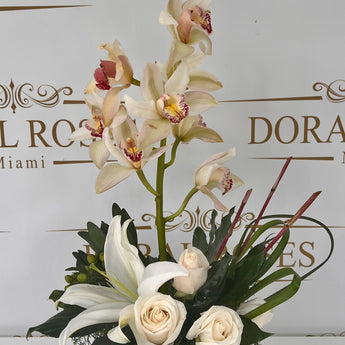Orchids, experience the beauty and freshness of nature with our Orchids. Transform any space into a lush oasis with our stunning Orchids. plants and flowers to decorate the home or office. Doral Roses Miami