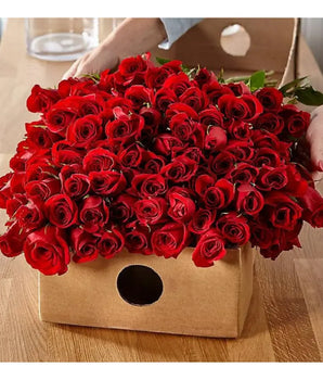 Give 100 Red Roses in an original package of 25 roses with a box of 4 packages. Regale 100 Rosas Rojas en un original paquete de 25 rosas con una caja de 4 paquetes. Doral Roses Miami