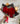 Mi Corazón - Ramo 19 Rosas