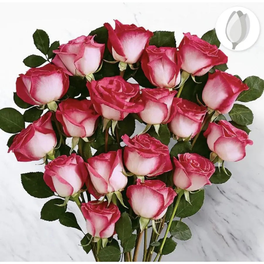18 bicolor roses in a bouquet for gifts with the best colors of the season. 18 rosas bicolor en un ramo para regalar con los mejores colores de la temporada. Doral Roses Miami