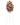 Humility / Flowers