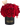 Caja cubo con 50 rosas rojas