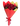 “Rosa Exprés” 🌹