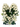 Familiarity  / Flowers