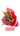 Pleasant / 10 tulip