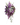 Honor  / Flowers