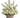 Farewell / Flowers