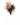 Nostalgia   / Flowers