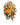 Calm / Flowers