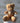 Little Brown Bear Teddy Online Friendship