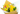Floral surprise