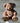 Brown Bear Teddy Online Friendship