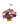 Illuminated / flowers