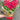 My Heart - Bouquet 40 Rosas