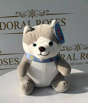 Petite Teddy Dog Gift Online