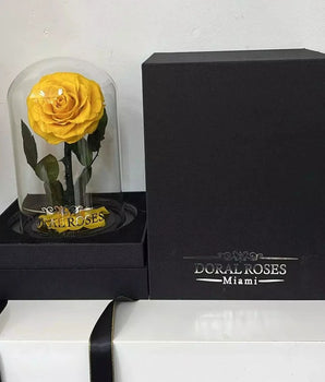 Preserved Yellow Rose Gift Online