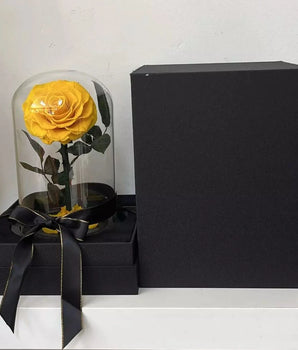 Preserved Yellow Rose Gift Online