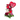 13 - Special / flowers