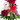 13 - Special / flowers