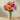 Bouquet Luz de mi vida, Regala Flores de verano, Summer y para cualquier ocasión, envía flores por Doral Roses Miami