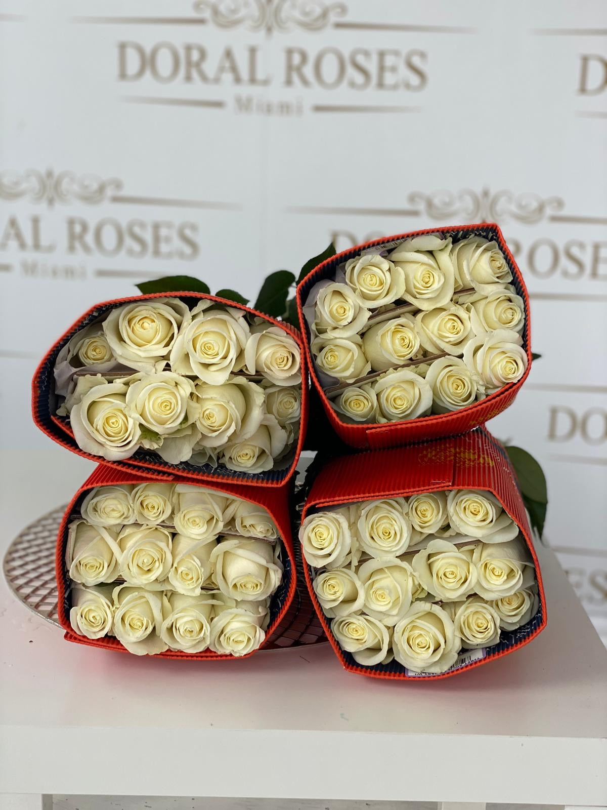 Red or White Roses 100 units, Home Delivery in Miami – Doral Roses Miami