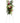 Gerberas y Palmas: Transmita su respeto y admiración con este ramo de llamativas flores funerarias rojas y blancas. Las gerberas rojas y los claveles complementan a las orquídeas blancas, las bocas de dragón y los crisantemos, todo ello contrastado con los verdes profundos de las hojas de palmeras tropicales.