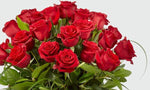 Rosas Rojas