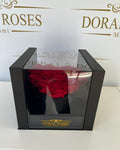 Doral Love Roses