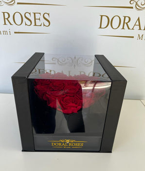 Doral Love Roses