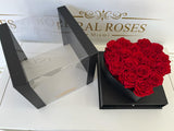 Doral love roses