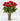 12 unidades de Rosas Rojas En Jarron, disponibles para entrega en nuestra tienda de Doral Roses Miami, Florida o a Delivery con un cargo adicional en Miami, FL. Floristería Doral