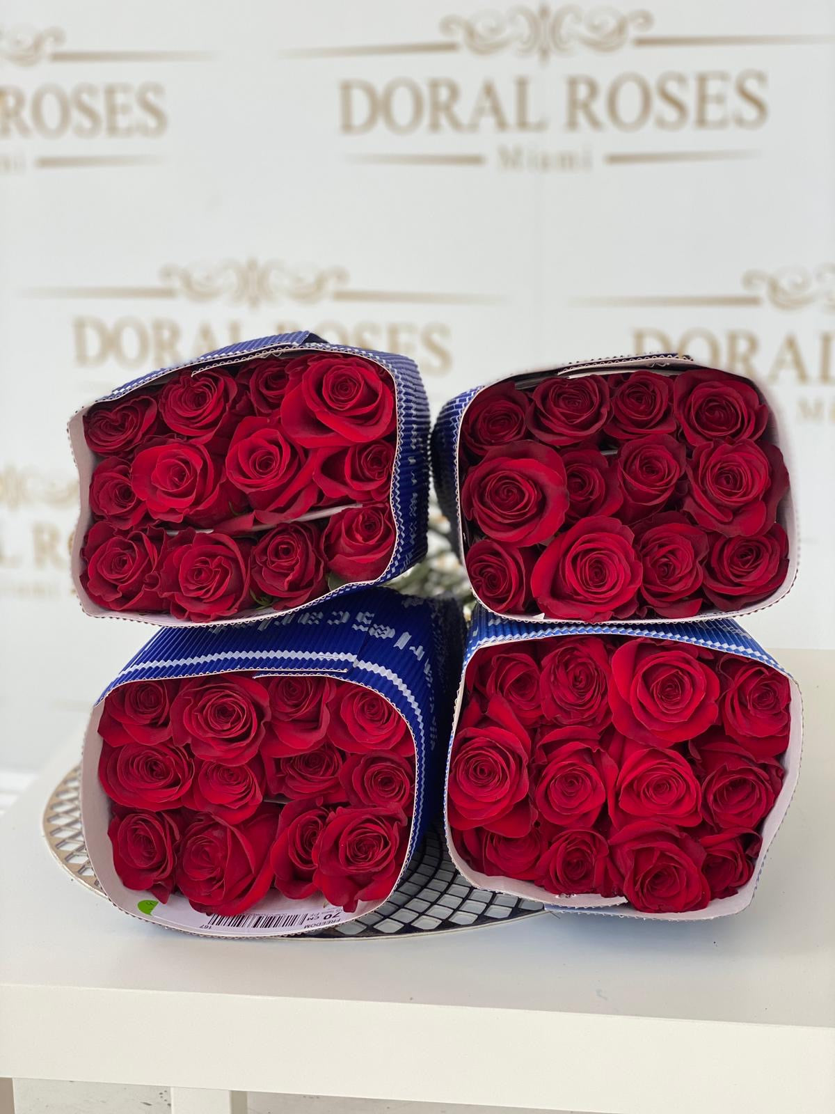 Red or White Roses 100 units, Home Delivery in Miami – Doral Roses Miami